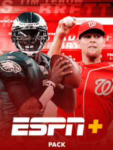 streamline-giant-Iptv-Best-IPTV-service-2-225x300-1.png